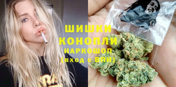 индика Сатка