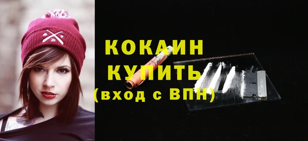 индика Сатка
