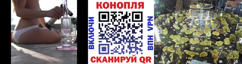 Конопля гибрид  где можно купить   Озёры 